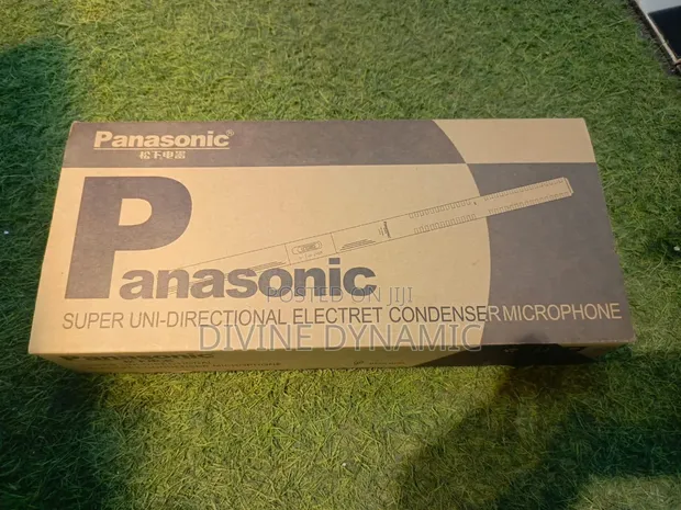 Panasonic Condenser Microphone - 1