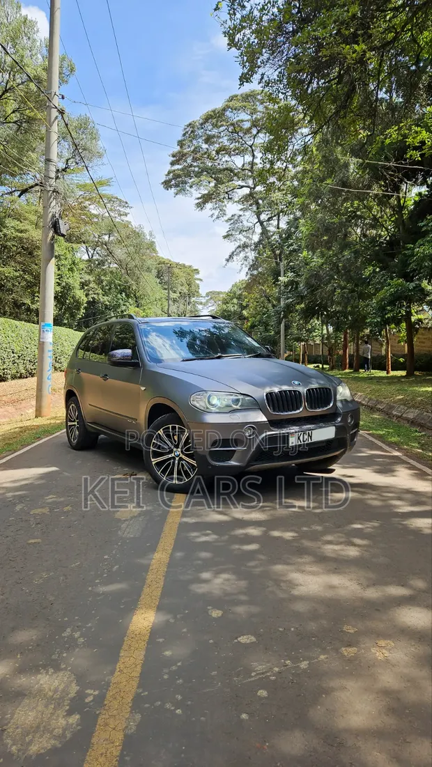 BMW X5 xDrive30i AWD 2010 Grey - 1