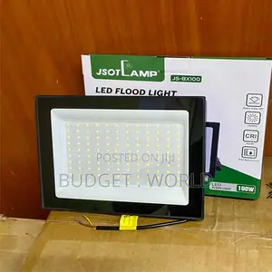 Automatic Dusk to Dawn 100W IP67 AC Flood Light