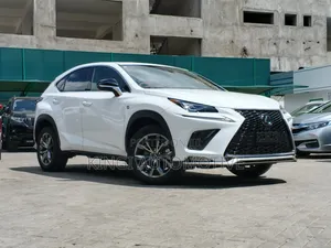 Lexus NX 300 2020 Nyeupe