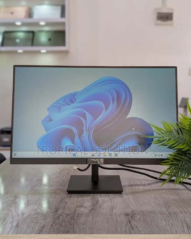 HP P24v 24-Inch VA Monitor - 1