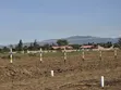 Viwanja 50x100 kwa Mauzo Stimaline, Nakuru - 1