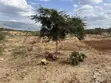 1/8 Acre Residential Land for Sale in Kimuka, Ngong - 2