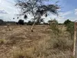 1/8 Acre Residential Land for Sale in Kimuka, Ngong - 3