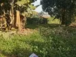 Kitalu Bora cha 50x100 mita 100 kutoka Barabara ya Pili ya Magharibi, Muthure - 3