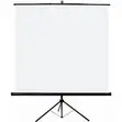 Tripod Projector Screen 240 x 240 cm (95" x 95") - 2