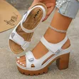 Platform Chunky Heels - Mpya Kabisa - 3