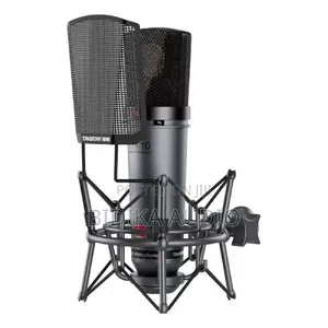 Takstar SM-10 Studio Condenser Microphone