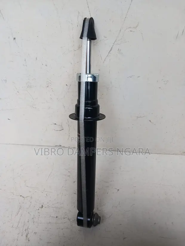 BMW 5 Series F10 Rear Shocks (Mpya Kabisa) - 1