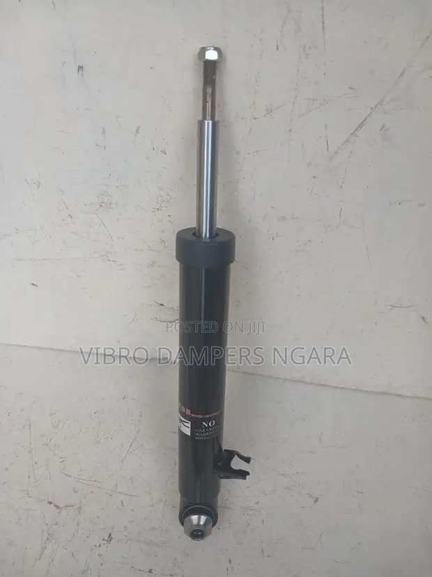 Shock Absorbers za Nyuma za BMW X5 E70 (Mpya Kabisa) - 1
