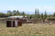 Kitalu cha 50x100 kinauzwa Mutaita, Nakuru - 4