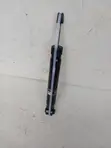 Audi A4 Rear Shock Absorbers - 2