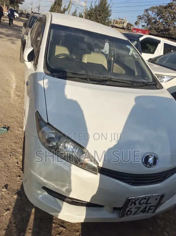 Toyota Wish 2010 White - 1