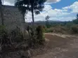 Kitalu cha 50x100 Kinauzwa Kambirwa, Murang'a - 3
