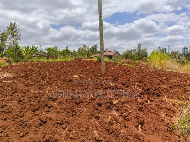 Vipande Vipya vya Ardhi Tranquil Gardens Kenol - 1