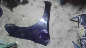 Ex-Japan Toyota Fielder/Axio 141 Wing/Fender