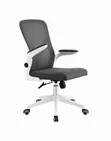 Brand New Office Chair - 2