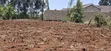 100x120 Ft Ardhi ya Makazi kwa Uuzaji - Kikuyu Ng'amba - 4