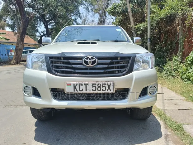 Toyota Hilux 2011 - Grey - 1