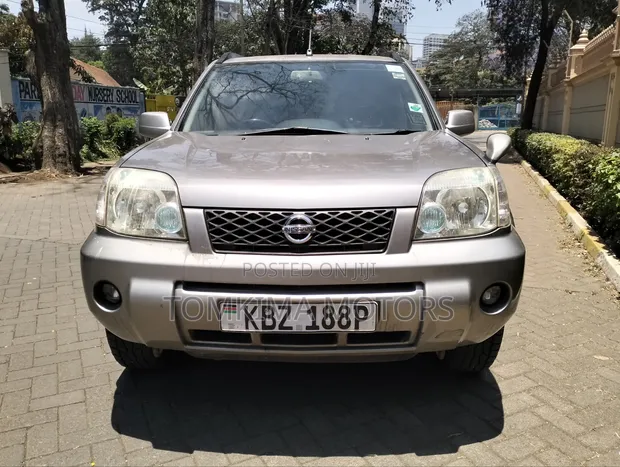 Nissan X-Trail 2006 Gray - 1