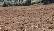2 Acres Prime Land for Sale - Kikuyu, Muguga Eka Moja - 3
