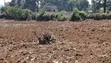 2 Acres Prime Land for Sale - Kikuyu, Muguga Eka Moja - 4
