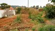 Kiwanja cha Biashara kwa Mauzo Kikuyu, Riu Nderi - 1
