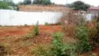 Kiwanja cha Biashara kwa Mauzo Kikuyu, Riu Nderi - 3