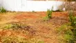 Kiwanja cha Biashara kwa Mauzo Kikuyu, Riu Nderi - 4