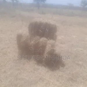 Majani ya Malisho kwa Ajili ya Kuuzwa