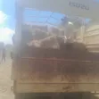 Majani ya Malisho kwa Ajili ya Kuuzwa - 2