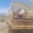 Majani ya Malisho kwa Ajili ya Kuuzwa - 4