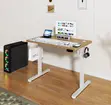 1.2m Ergonomic Electric Standing Desk - 2