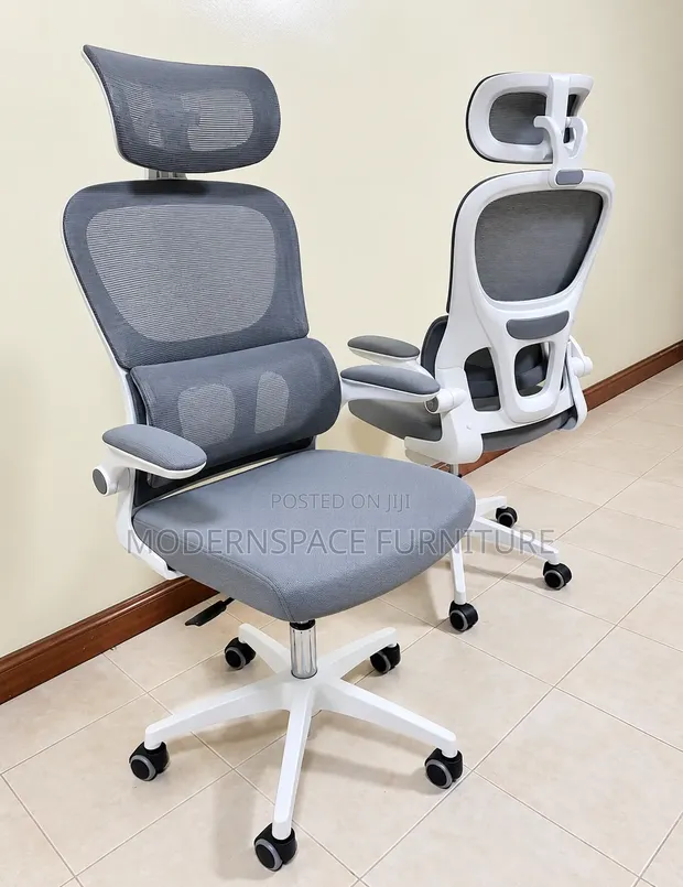 Ergonomic Gray Office Chair - 1