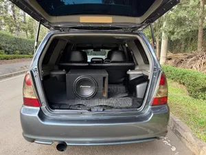 Mitsubishi Outlander 2008 Grey
