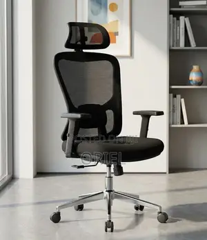 High-Back Orthopedic Office Chair - Ergonomic Desk Seat