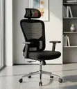 High-Back Orthopedic Office Chair - Ergonomic Desk Seat - 1