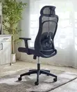 Modern Mesh Back Ergonomic Swivel Chair - 1