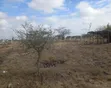 1/4 Acre Plot for Sale in Syokimau - 1