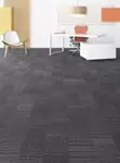 Carpet Tiles kwa Mapokezi na Ofisi - 2