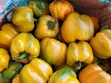 Fresh Food Groceries - 1