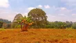 One Acre Tigoni Residential Land - 1