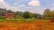 One Acre Tigoni Residential Land - 2