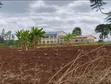 New 40x80 Plots for Sale in Kenol - Kamakuri - 1