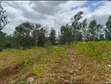 New 40x80 Plots for Sale in Kenol - Kamakuri - 3