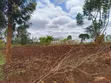 New 40x80 Plots for Sale in Kenol - Kamakuri - 4