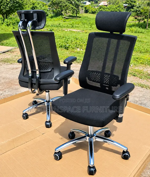 Ergonomic Mesh Office Chair with Headrest & Adjustable Armrest - 1
