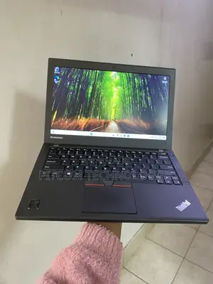 Lenovo ThinkPad X250 Laptop 8GB RAM, 500GB HDD