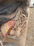 Honda CBR 2018 Nyekundu - 4