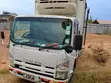 Isuzu Elf 2015 Refrigerated Mini Truck - 5